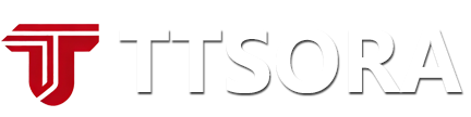 TTSORA视野网